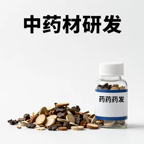 文化发展公司